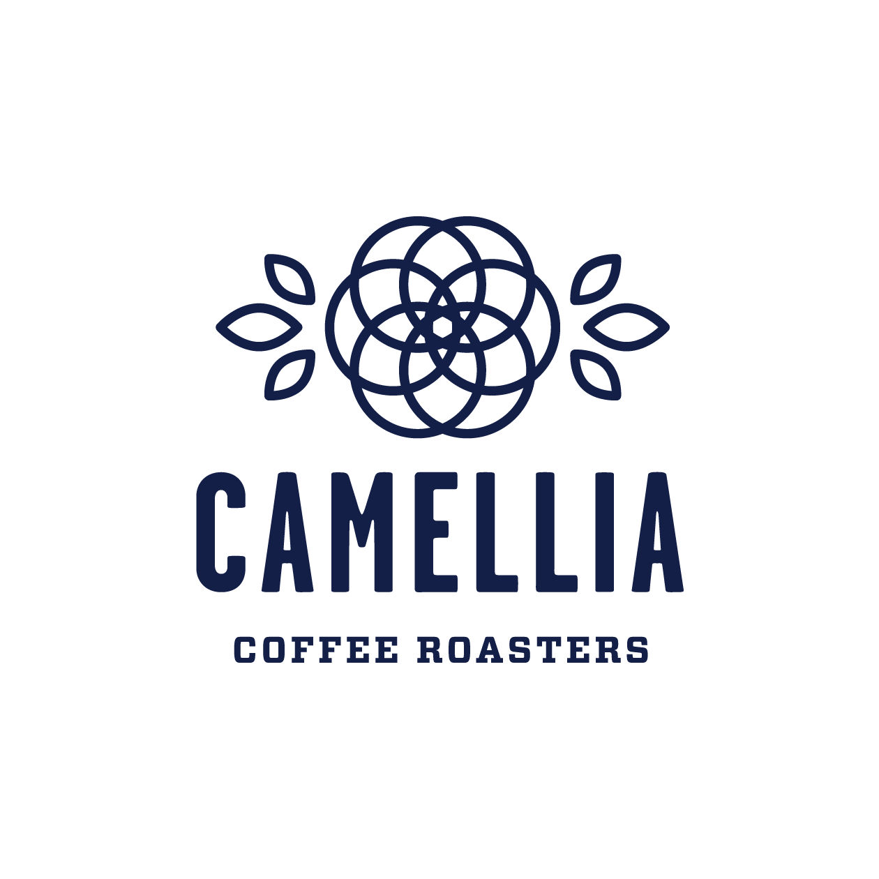 Camellia