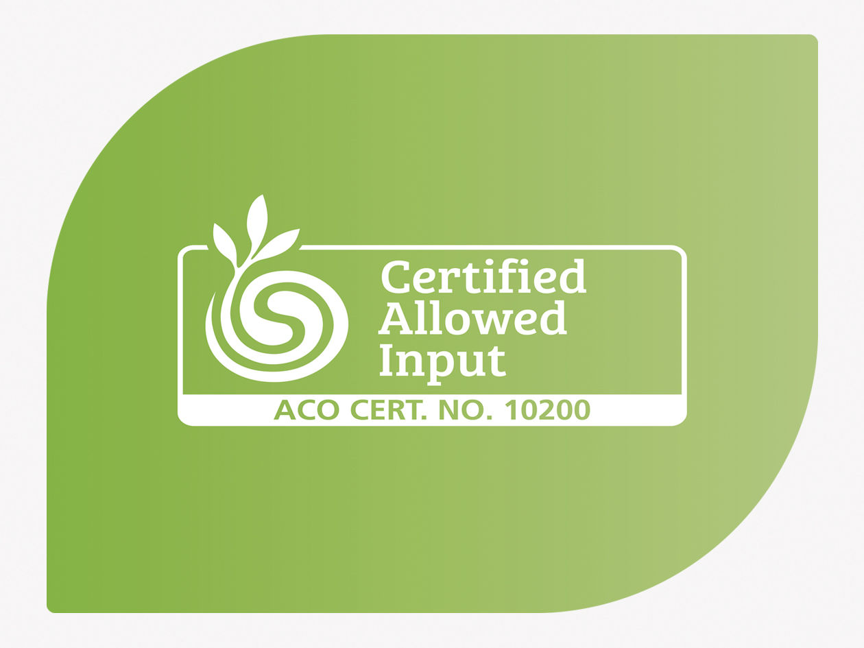 Certified Allowed Input