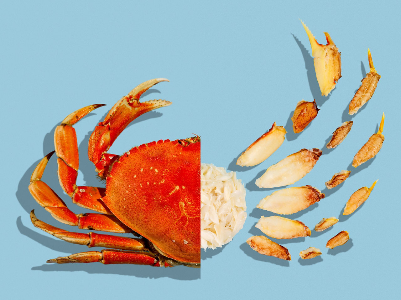 The Ultimate Guide to Dungeness Crab