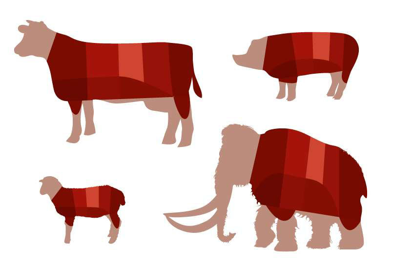Decoding Tough and Tender Cuts