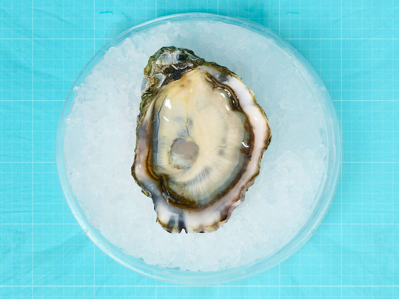 How to Shuck Oysters Four Ways