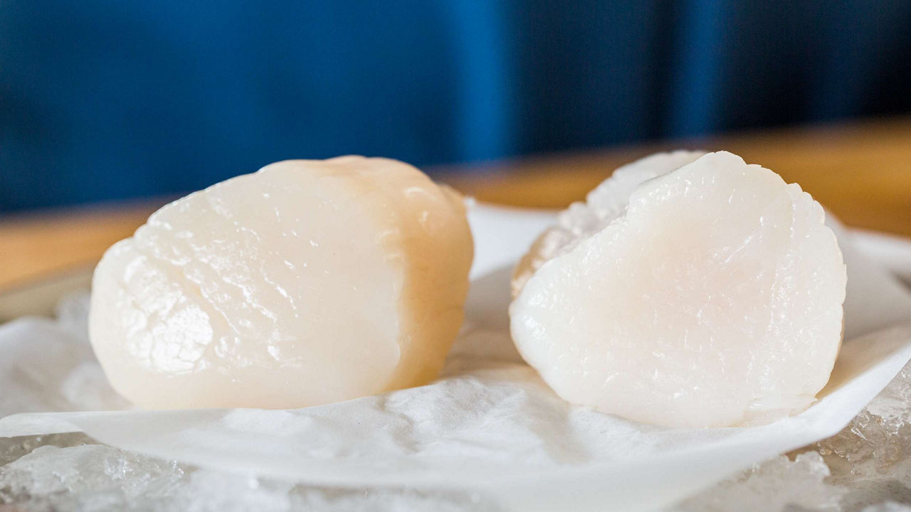 Shopping Tips: How to Buy Fresh Scallops